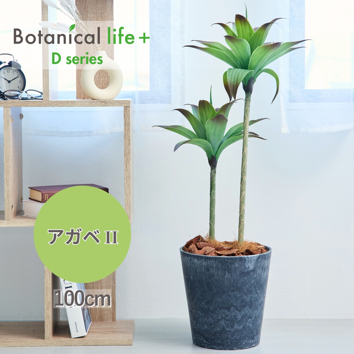 アガベ アテナータ 2本 多肉植物 鉢 フェイクグリーン 75cm 光触媒 鉢