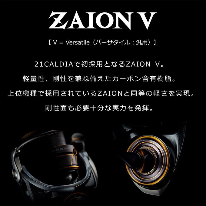 DAIWA（ダイワ） 【目玉商品】ダイワ 21 カルディア LT3000-CXH (2021