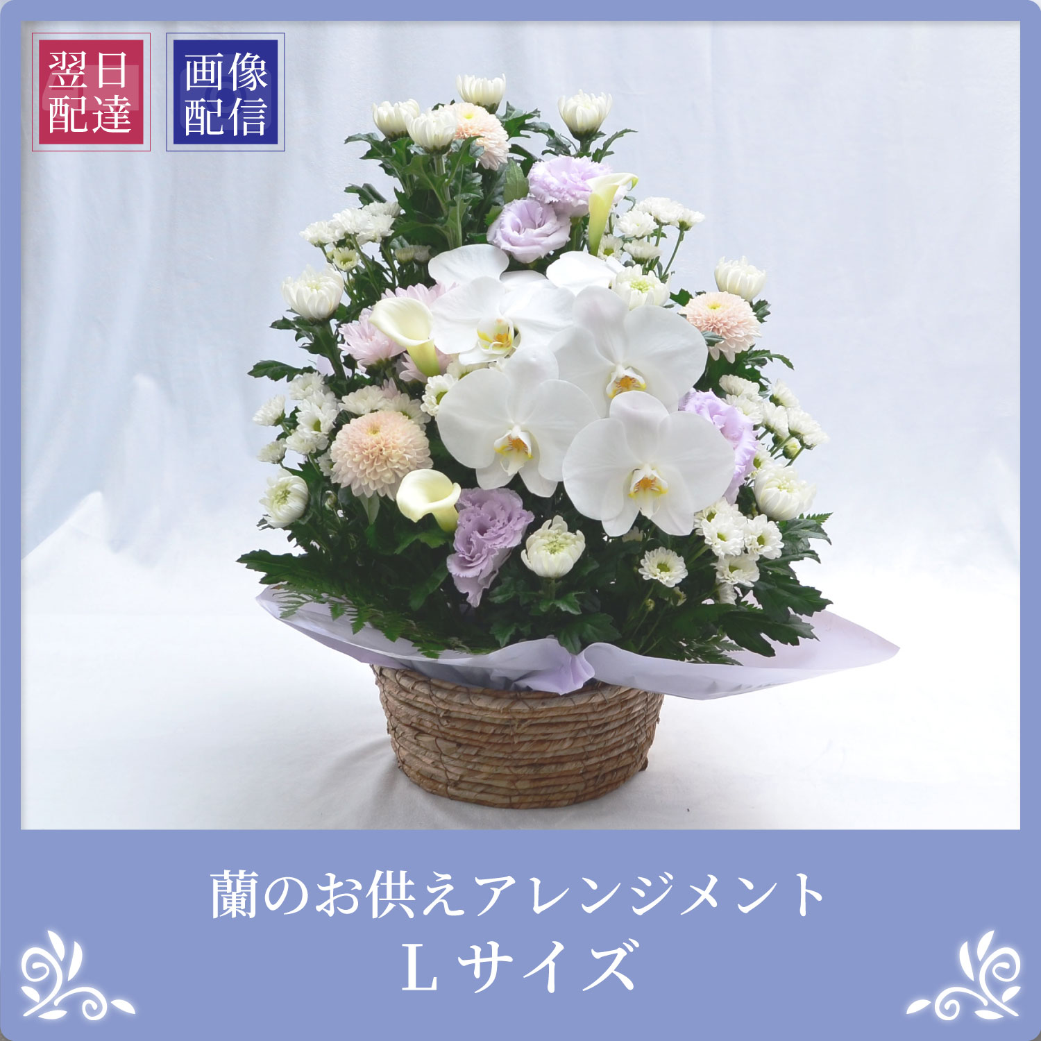 エーデルワイス花の贈り物 春のお彼岸 お供え 供花 仏壇 フラワー