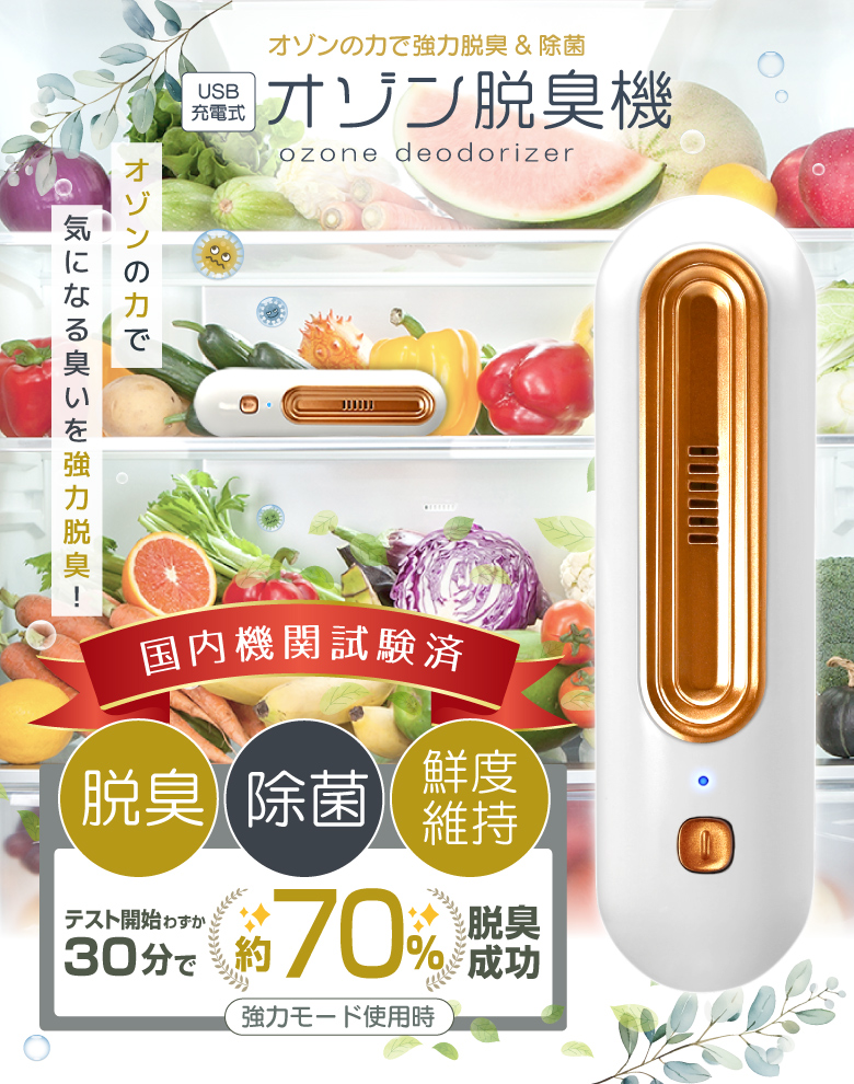 オゾン脱臭機 消臭器 オゾン発生器 ミニ空気清浄機 冷蔵庫 除菌 USB