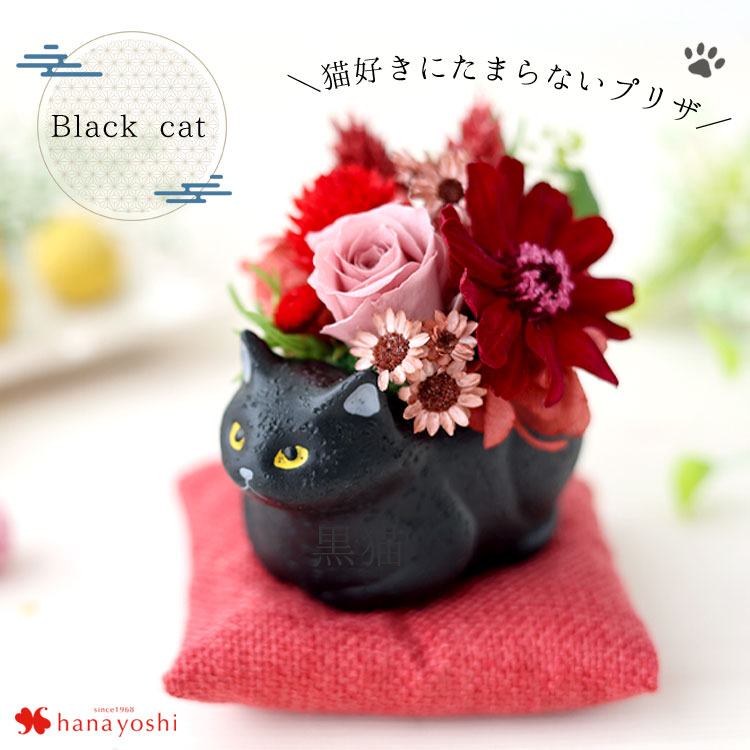 フラワーマーケット花由 プリザーブドフラワー 和風 くつろぎねこ 7