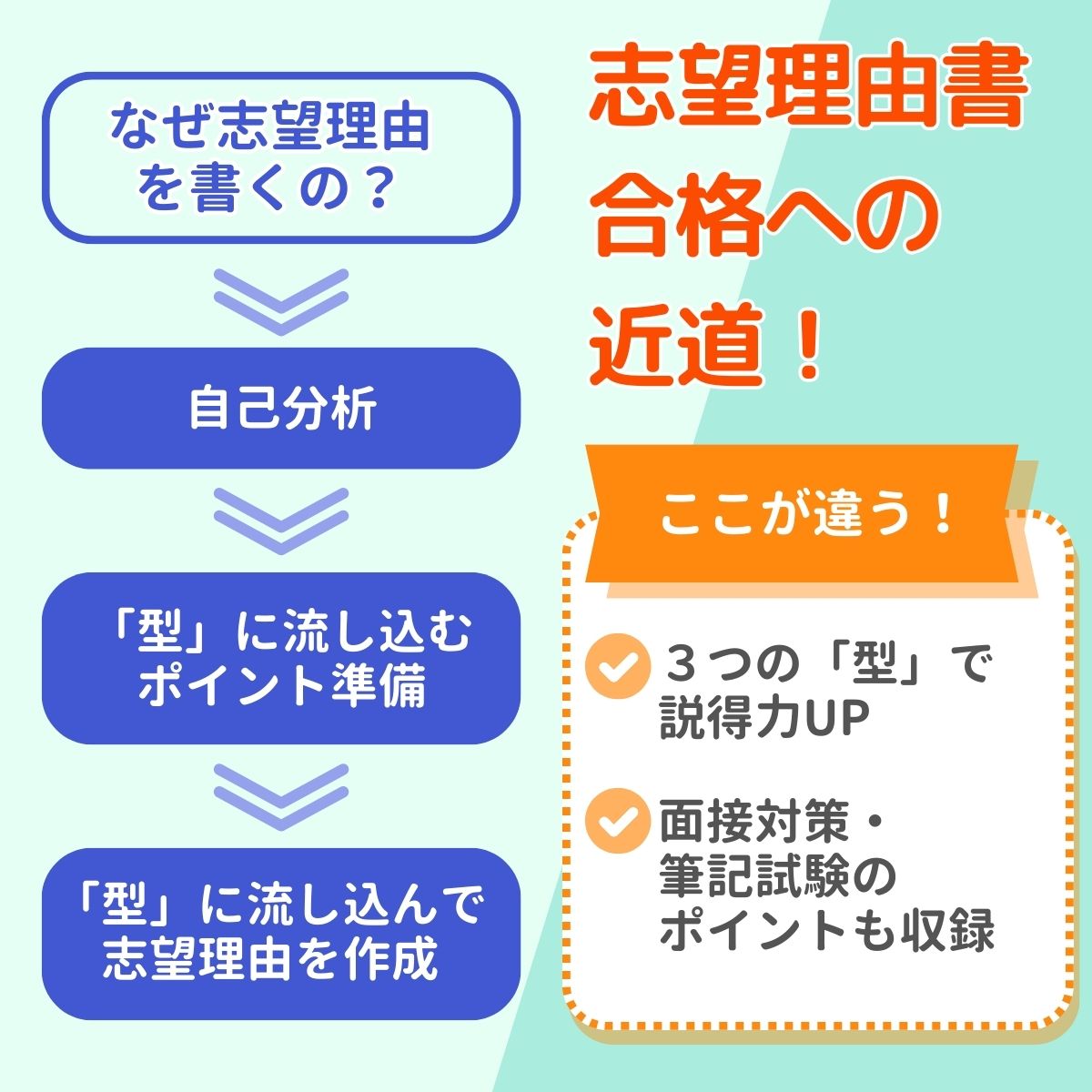 2027 北里大学(獣医学部)・編入試験志望理由書+論文最強ワーク 問題集