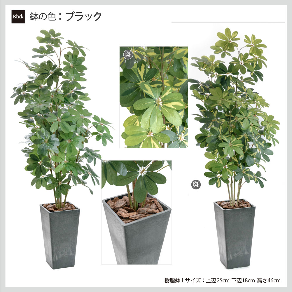 神戸花物語 フェイクグリーン カポック アルボリコラ 大型 人工観葉