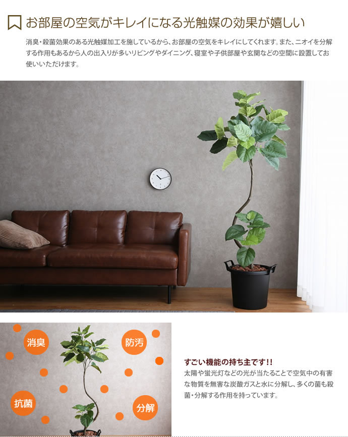 人工観葉植物 フェイクグリーン 高さ1.65m 人工植物 光触媒 インテリア