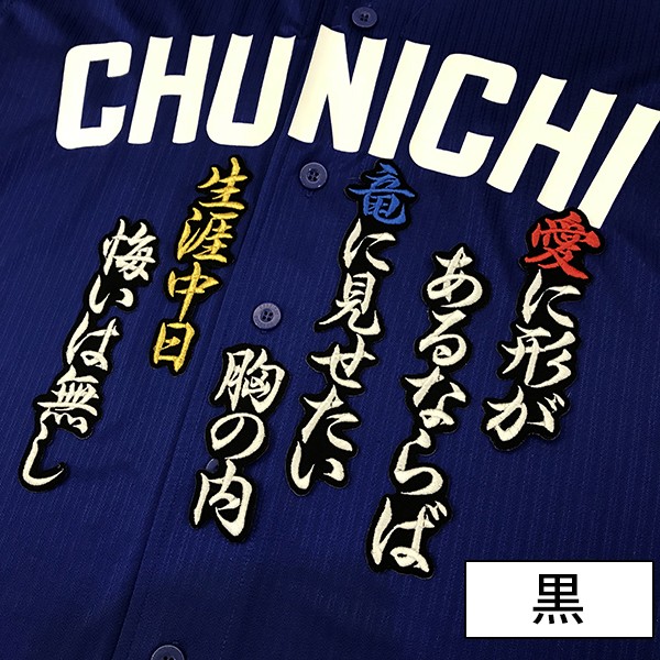 メール便送料無料】納期注意【中日ドラゴンズ 刺繍ワッペン生涯中日