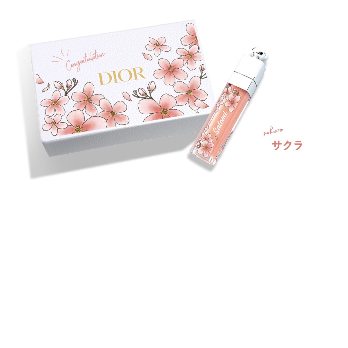 DIOR リップ ハンドクリーム ボックスセット アディクトリップ