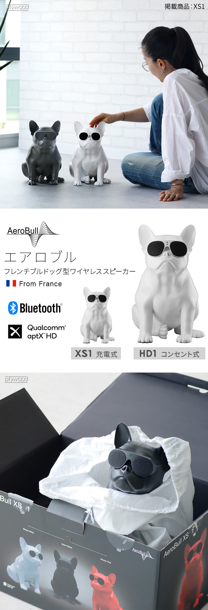 特典付】正規品 エアロブル Aerobull XS 1 ポータブル 充電式