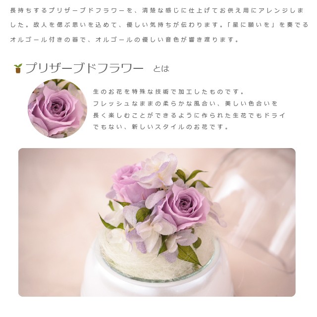 プリザーブドフラワー 仏花 お供え デジール 星に願いをドーム