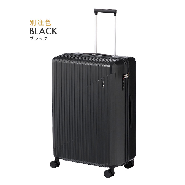 ACE クレスタ2 スーツケース ace-06938｜ONLINE STORE by SELECTION