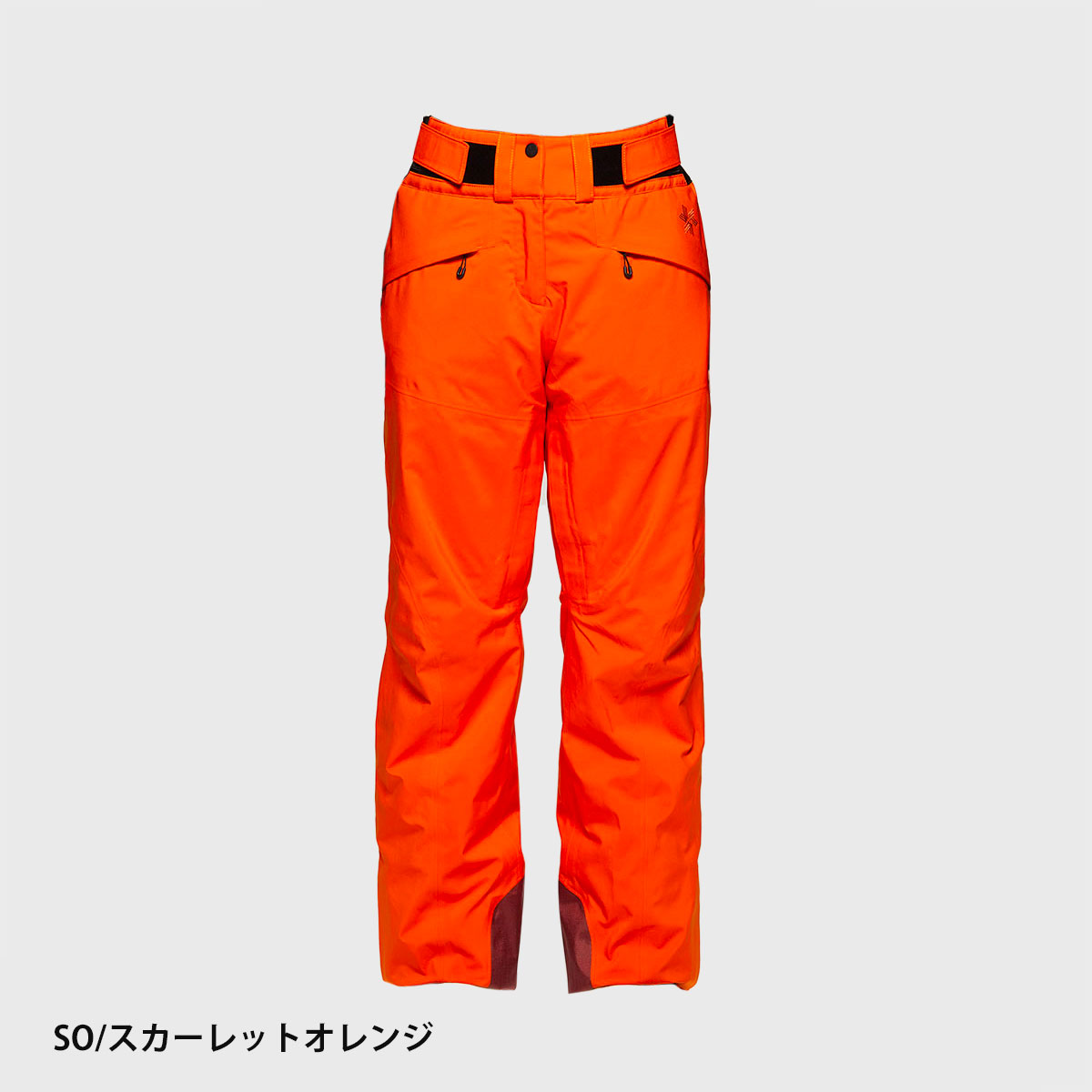 GOLDWIN（ゴールドウイン） 【エントリーでP最大17倍！1日まで】スキー