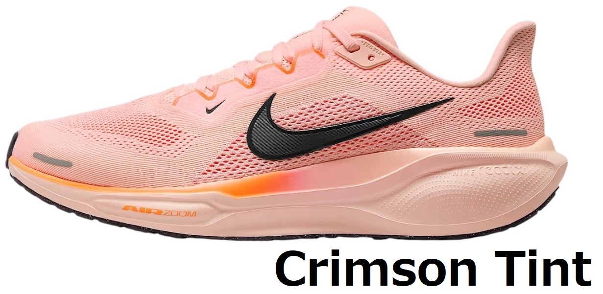 NIKE（ナイキ） スニーカー エア ズーム ペガサス41 メンズ ランニング