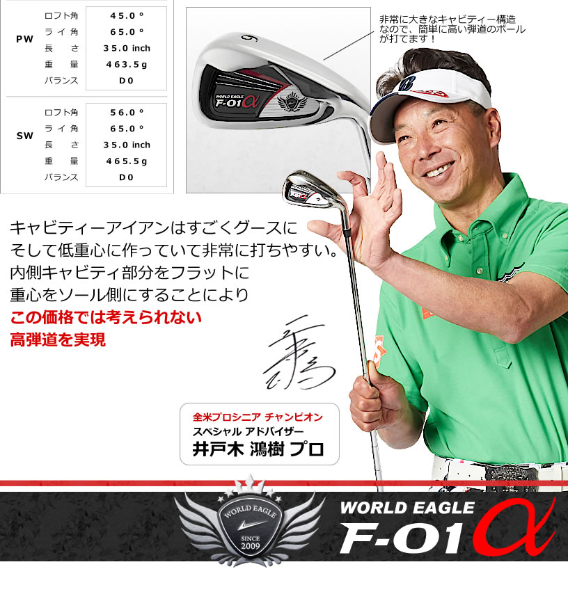 WORLD EAGLE アイアンセット ゴルフクラブ ワールドイーグル メンズ F