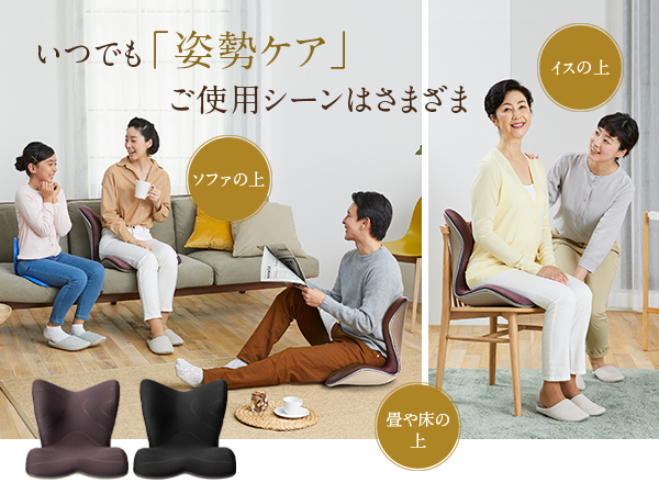 Style（スタイル） 姿勢ケアシート Style PREMIUM プレミアム MTG 骨盤