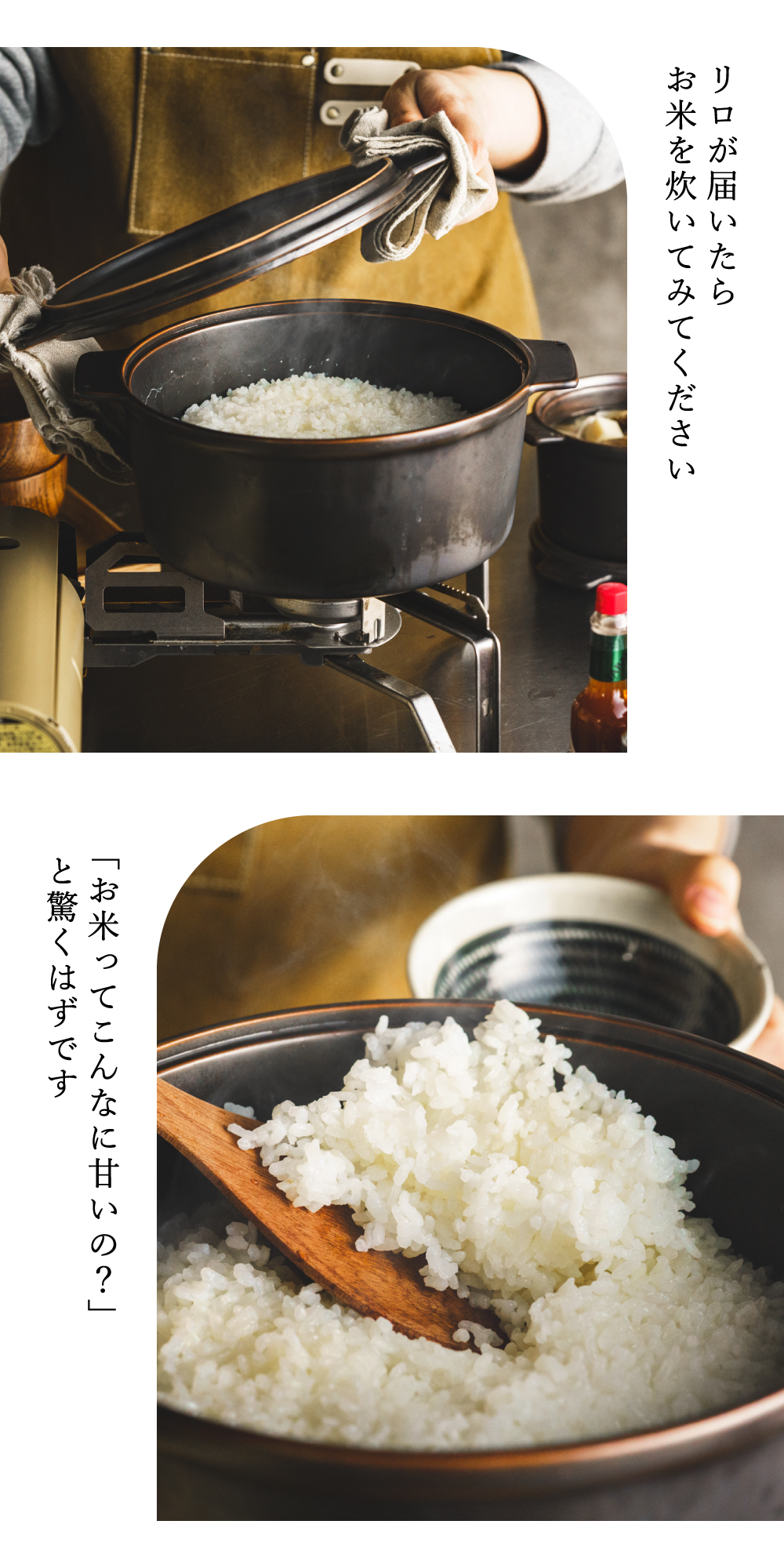 ダッチオーブン 無水調理鍋 リロ lilo round L 22cm キャンプ