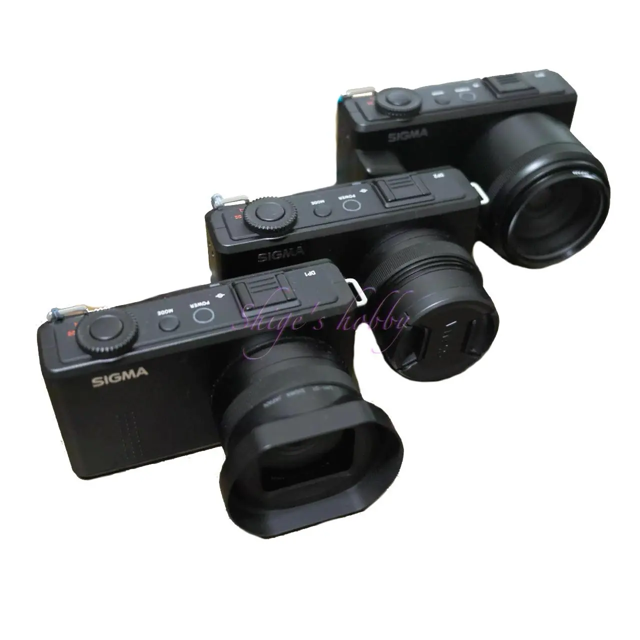 狭きスィートスポット SIGMA DP2 Merrill – Shige's hobby