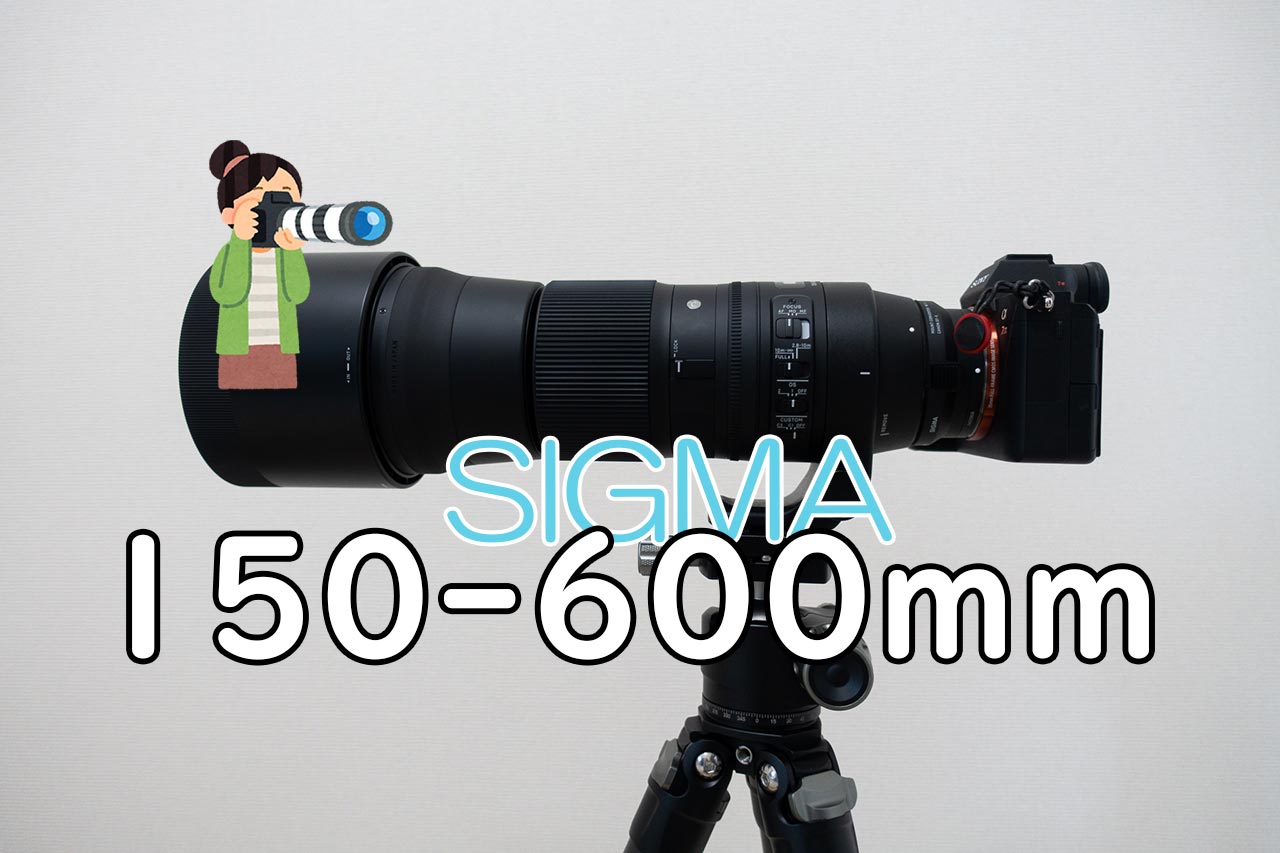 α7Ⅲと一緒に買った超望遠レンズ「SIGMA 150-600mm F5-6.3 DG OS HSM