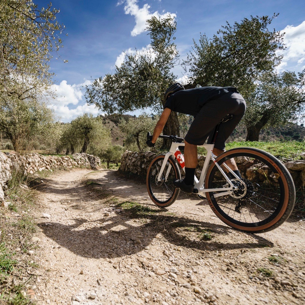 WTB 新製品】 ByWay 650bx47 Road Plus 発売開始のお知らせ | SimWorks