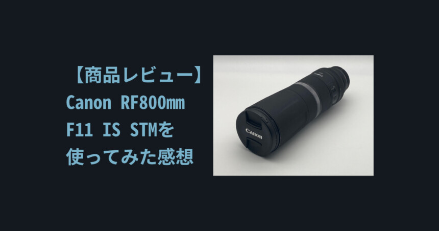 商品レビュー】Canon RF800mm F11 IS STMを使ってみた感想【野鳥,動物