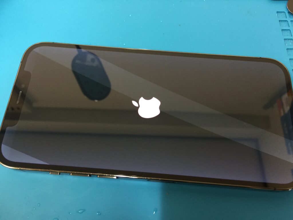 iPhone 12 Pro Max】ポケットにiPhoneを入れたまま川遊びをして水没し