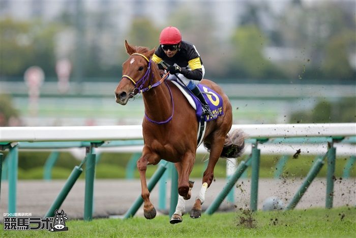 競馬 ポスター レッツゴードンキー レッツゴードンキ（Let's Go Donki