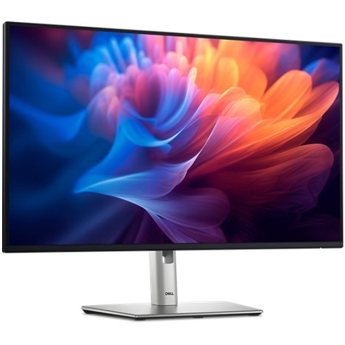 Dell UltraSharp 24 Inch USB-C® Monitor - U2424HE | Dell USA