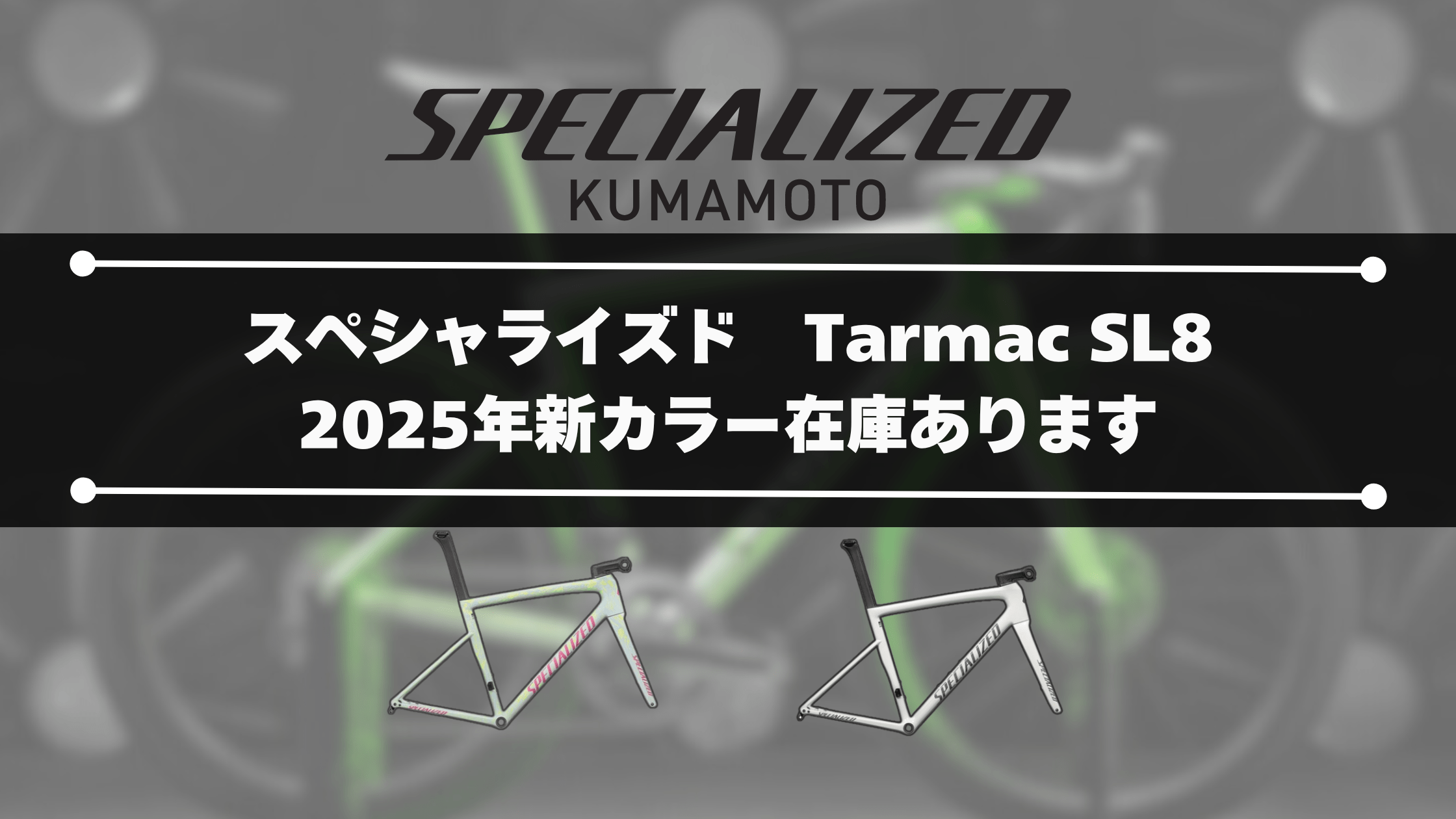 Tarmac SL8新色あります | スペシャライズド 熊本 | Specialized Kumamoto