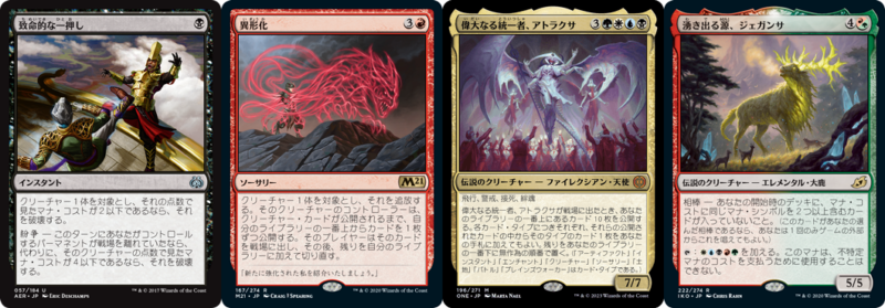 パイオニアインタビュー企画】#巧者に訊く 第11回：亀崎頌さん