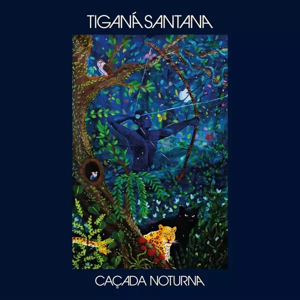 TIGANA SANTANA / チガナ・サンタナ商品一覧｜ディスクユニオン