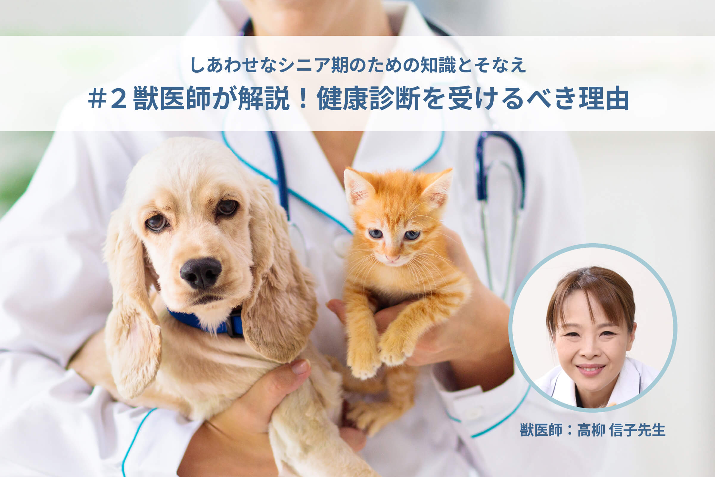 いぬとねこ シニアのそなえプロジェクト