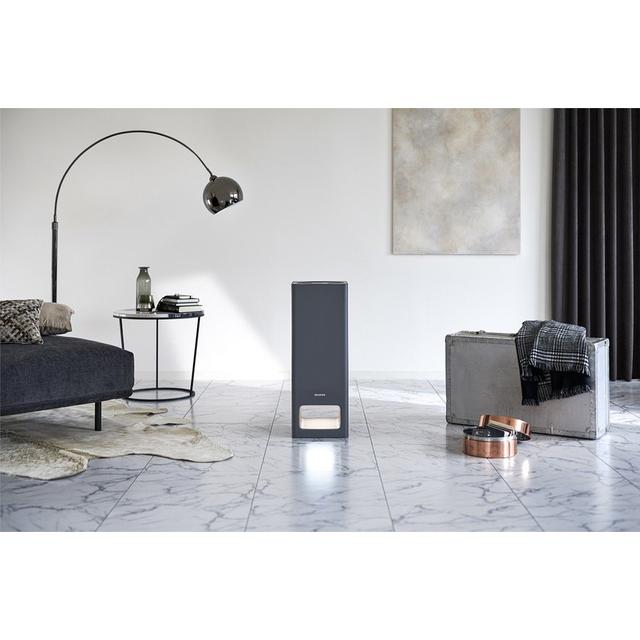 バルミューダ 空気清浄機 ダークグレー BALMUDA The Pure A01A-GR -の