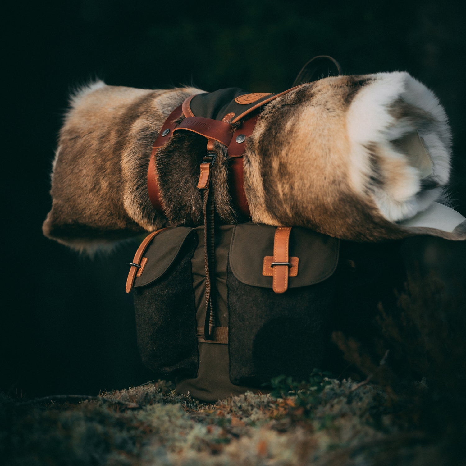 DALUM REINDEER FUR WARD L / ダーラム トナカイファー ワード L