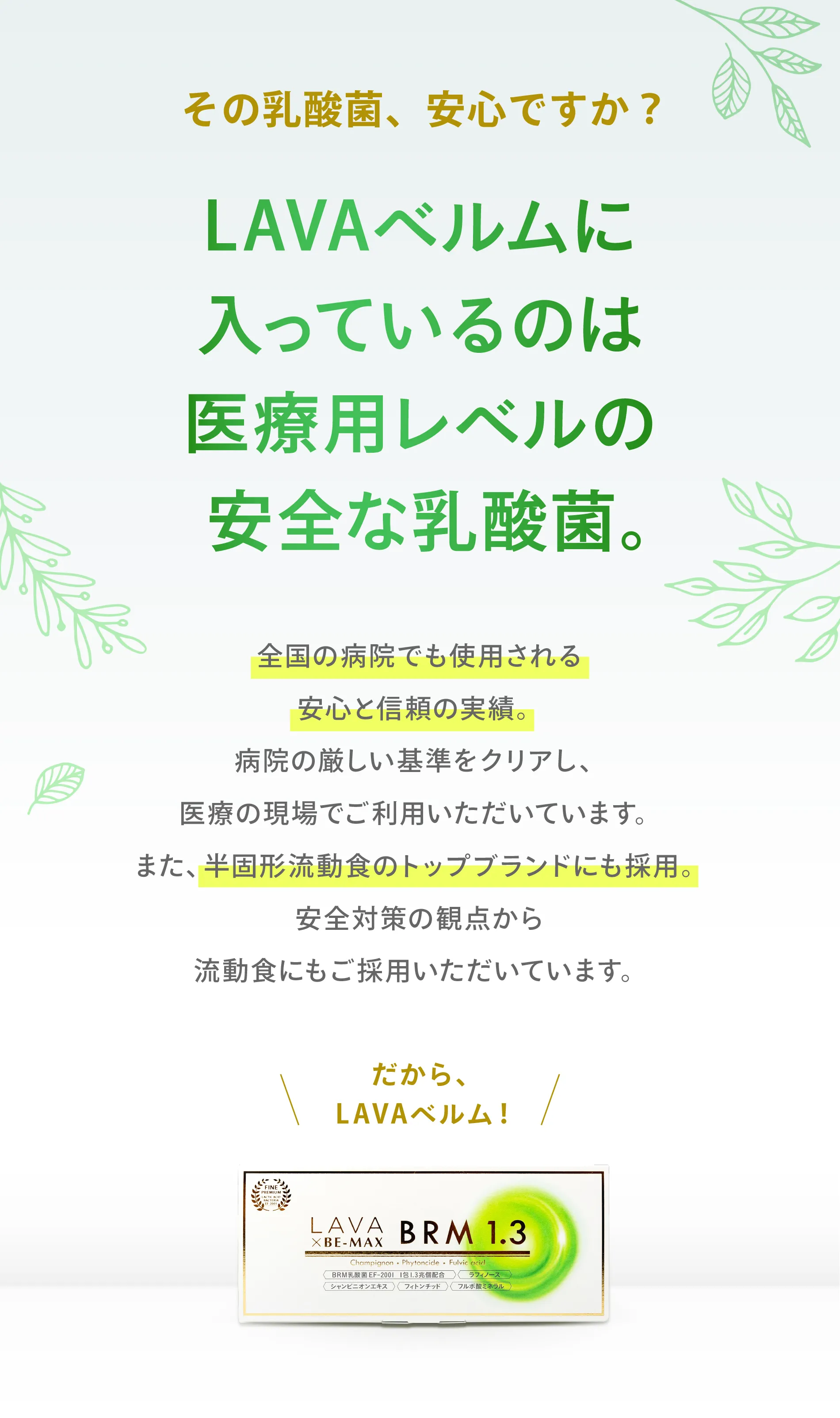 LAVA×BE-MAX BRM 1.3(ラバ×ビーマックスベルム1.3)｜LAVA公式