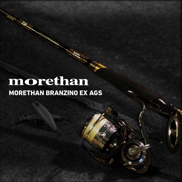 ダイワ モアザン ブランジーノ EX AGS 1010ML/M (スピニング 2ピース