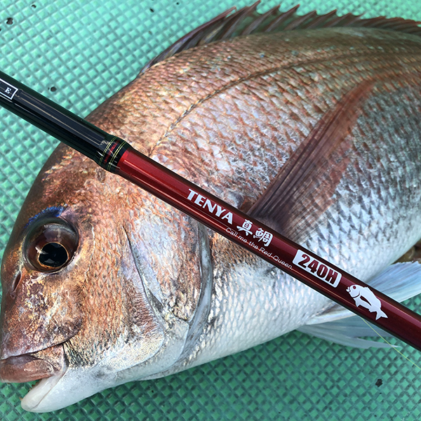 A.T.LAB 一つテンヤ竿 ミッドエッジ テンヤ 真鯛 240H (スピニング 2