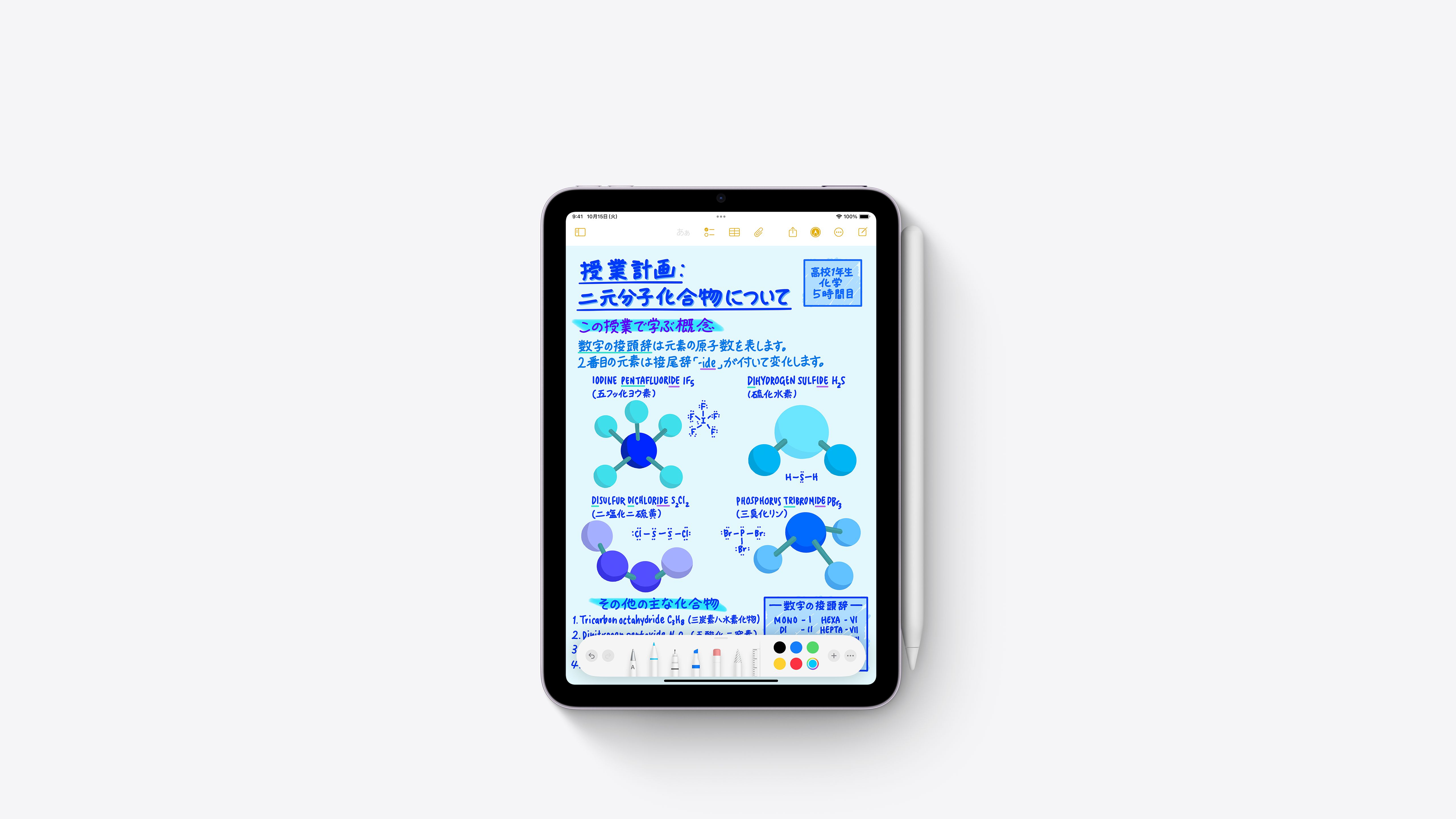 iPad mini Wi‑Fiモデル 256GB - ブルーを購入 - 教育 - Apple（日本）