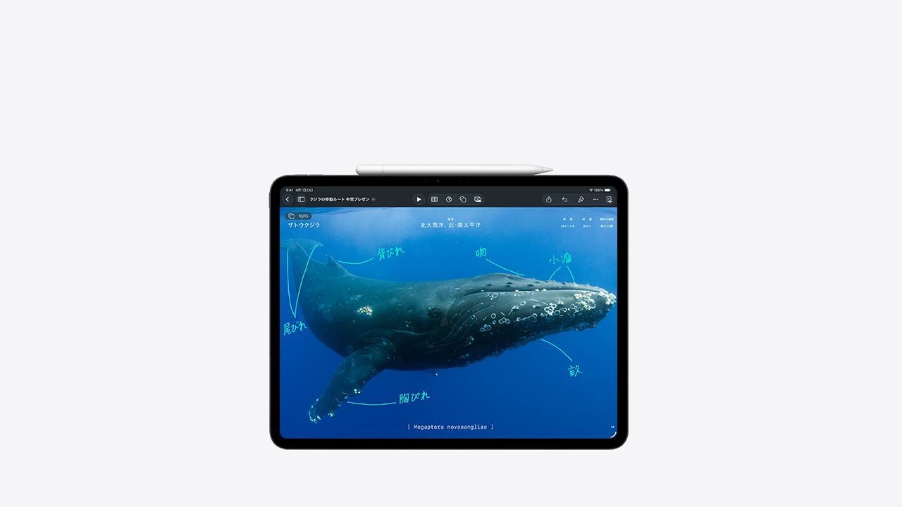 ipad-pro-apple-pencil-unselect