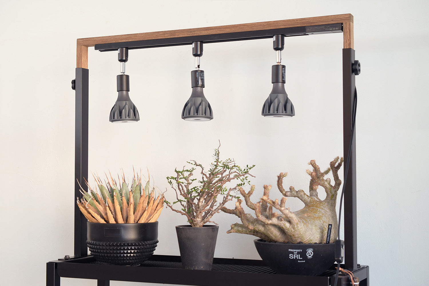 ヘリオスグリーンLED HG-24 | アイアン家具通販 SULK