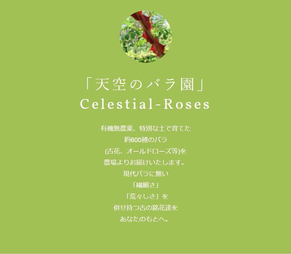 Abundant Countryside 豊かな在郷 英語 4枚 バラ売可 豊かな在郷