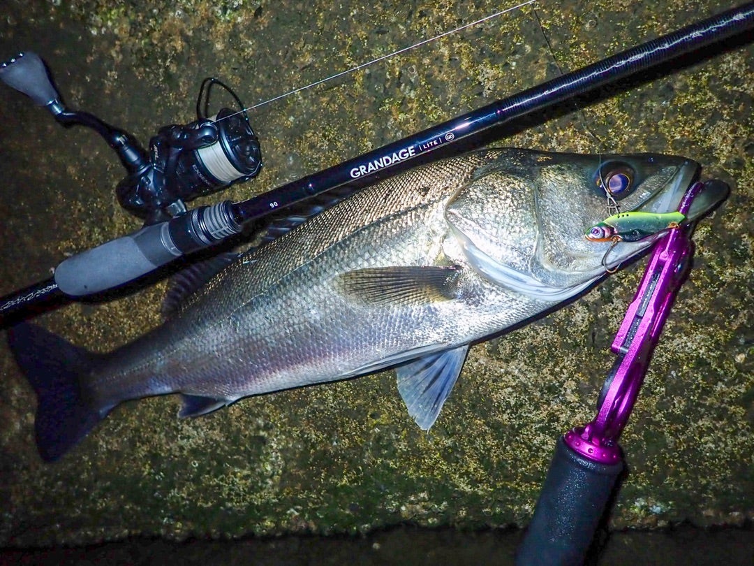 グランデージライト90 | taw's BLOG