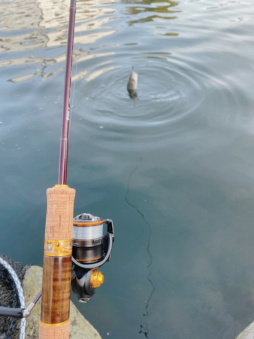 インプレ】初心者がイキってハイエンドロッド使ってみた⑪【ホワイト