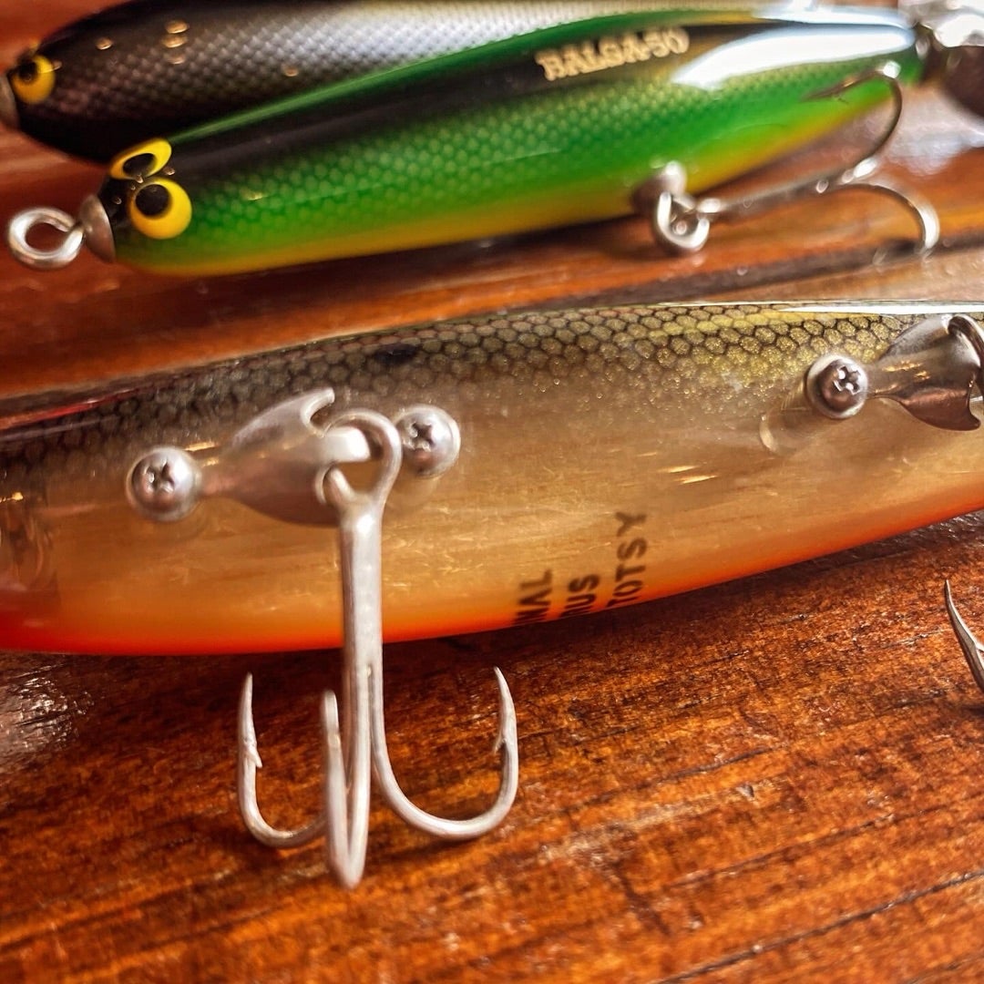 ホッツィートッツィーほか | イレクターズNEWS