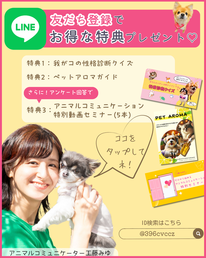 ペットちゃんの気持ちがわかる人の共通点 | 工藤みゆ（アニマル