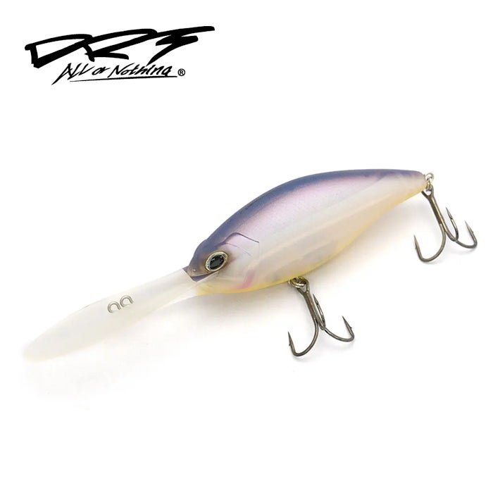 DRT「ポリス」が入荷！本日21時より通販にてご注文を承ります