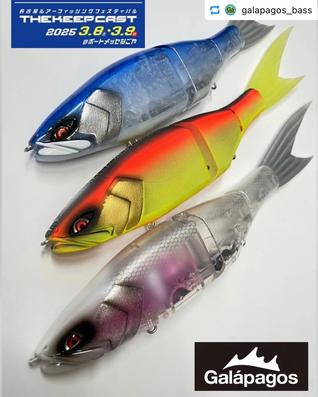 Galapagos』限定販売品情報 | 名古屋フィッシングルアーフェスティバル