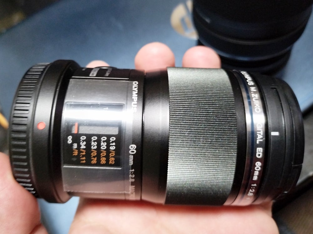 M.ZUIKO DIGITAL ED 60mm F2.8 Macro | 近くの彼方から