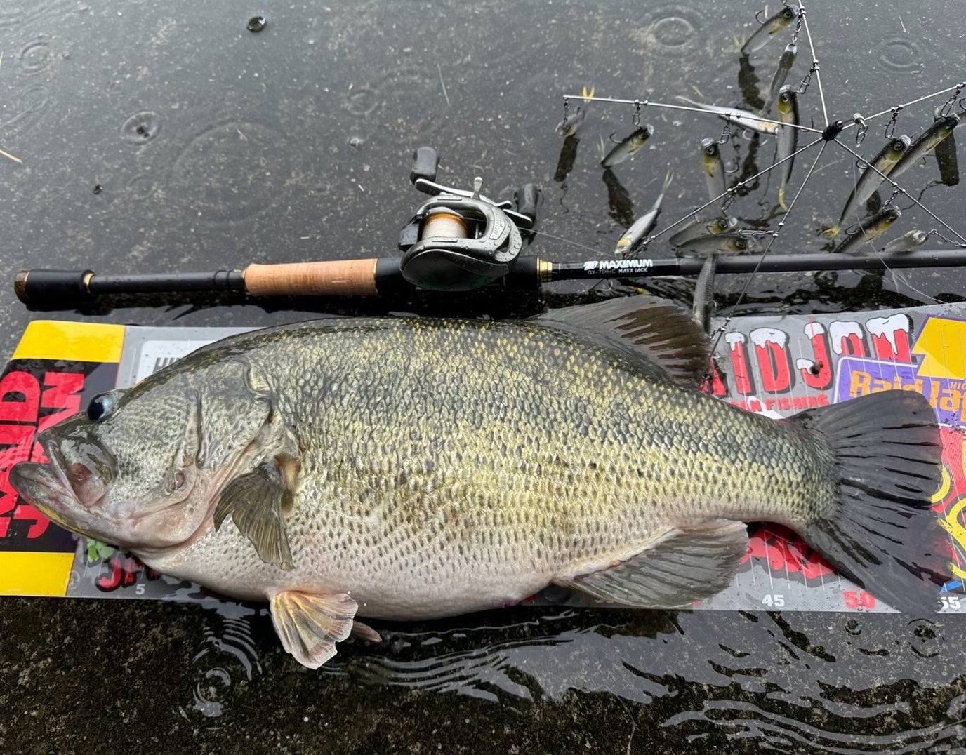 レイドジャパン新作ロッド！マックスジャック＆ザ・マックス改が40本