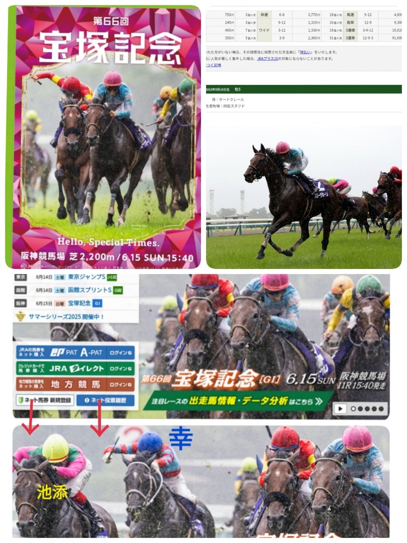 サイン派必見宝塚記念のKeyは………これでしょ！ | サイン競馬、わが