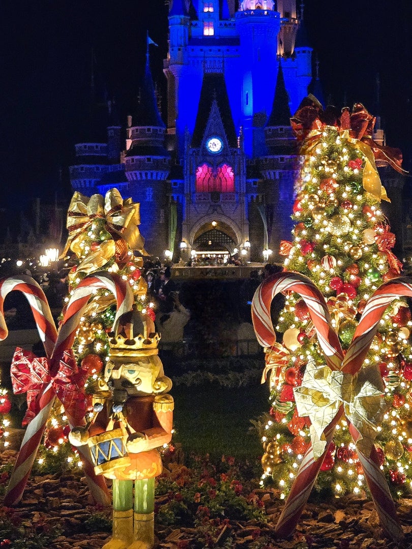 TDL花壇に飾られたクリスマスツリーのイルミネーション | ミキ衛門