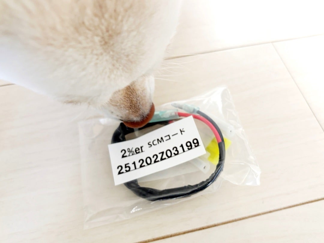 Sあ〜るんバッテリー化☆ | パパてっつんの遊びのテツガク