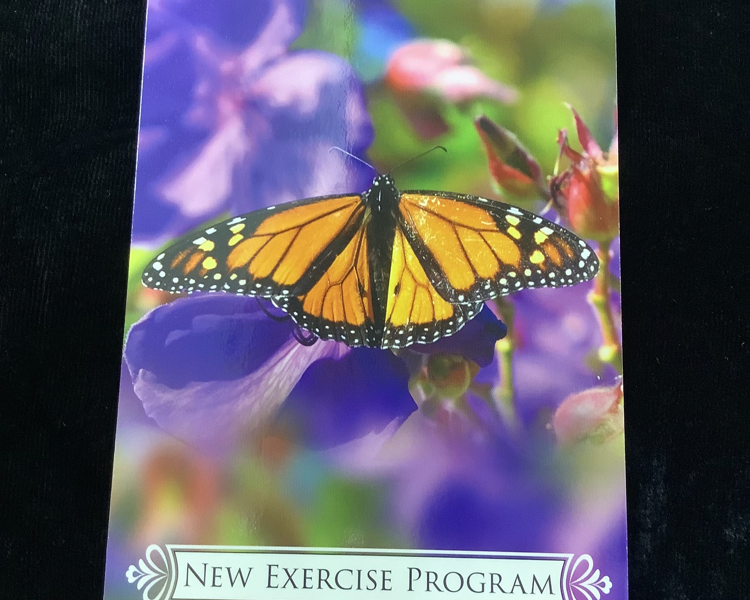 カード紹介】バタフライオラクルカード | 日本のオラクルカード